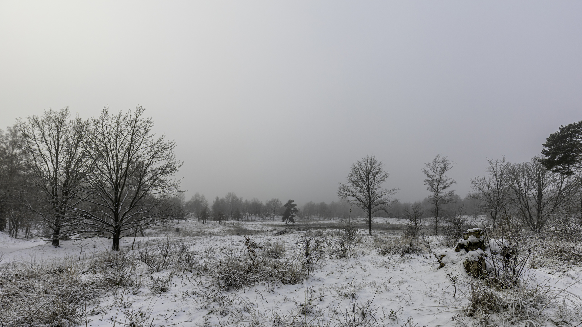 winter im spätherbst