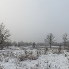 winter im spätherbst