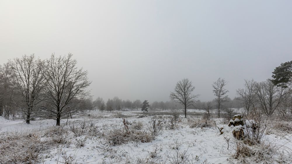 winter im spätherbst