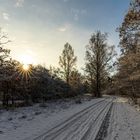 winter im spätherbst