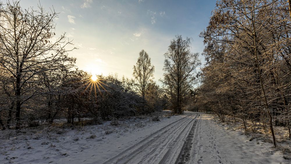 winter im spätherbst