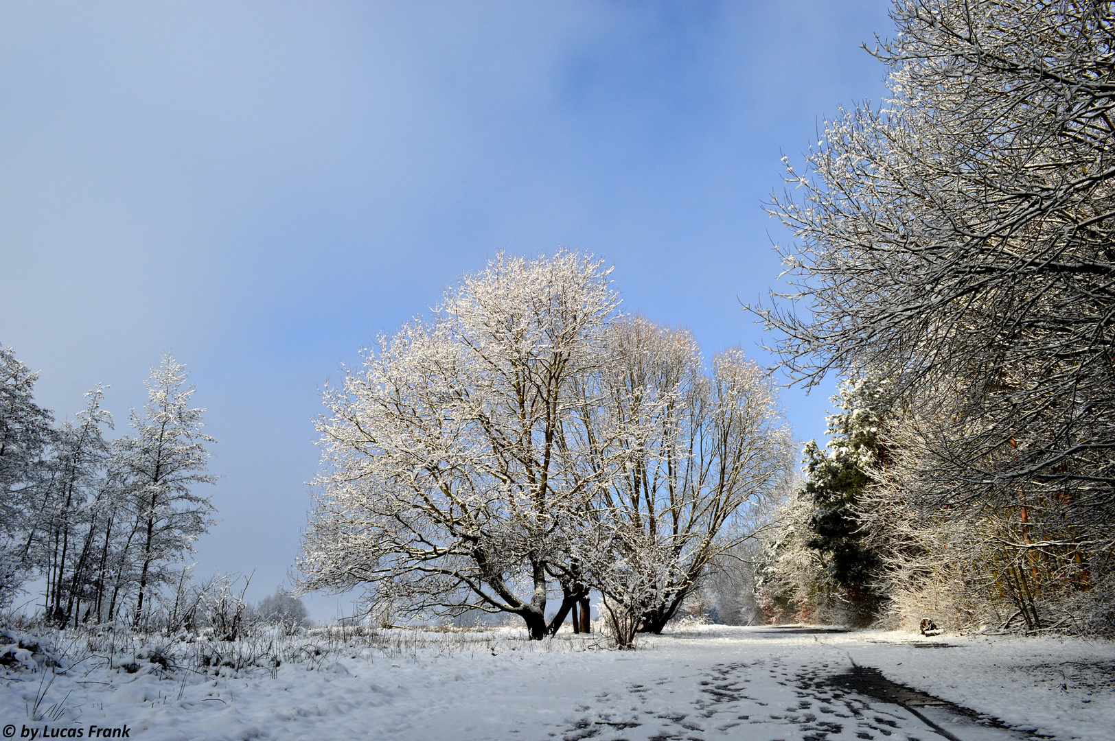 Winter im Spessart