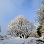 Winter im Spessart