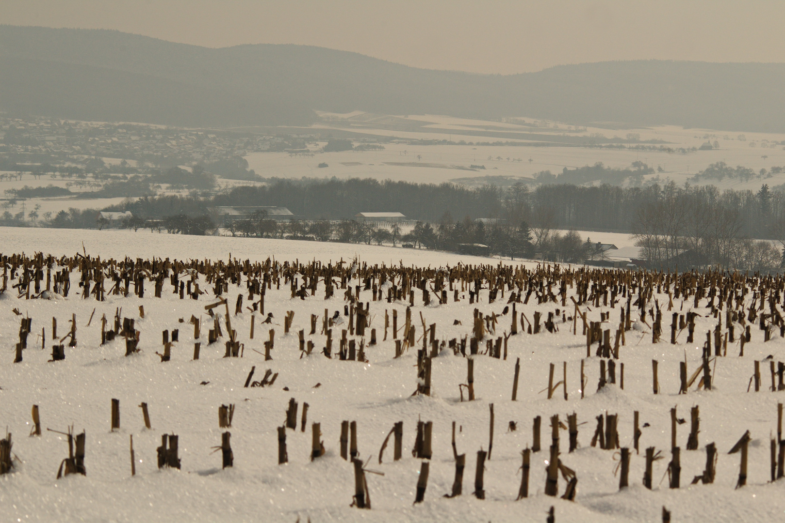 Winter im Spessart