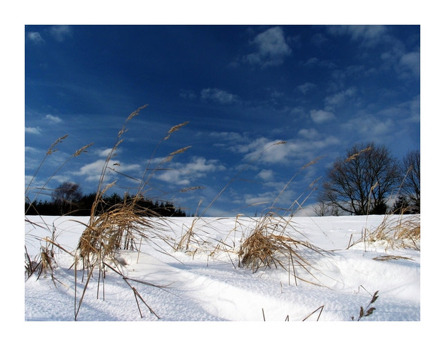 Winter im Spessart