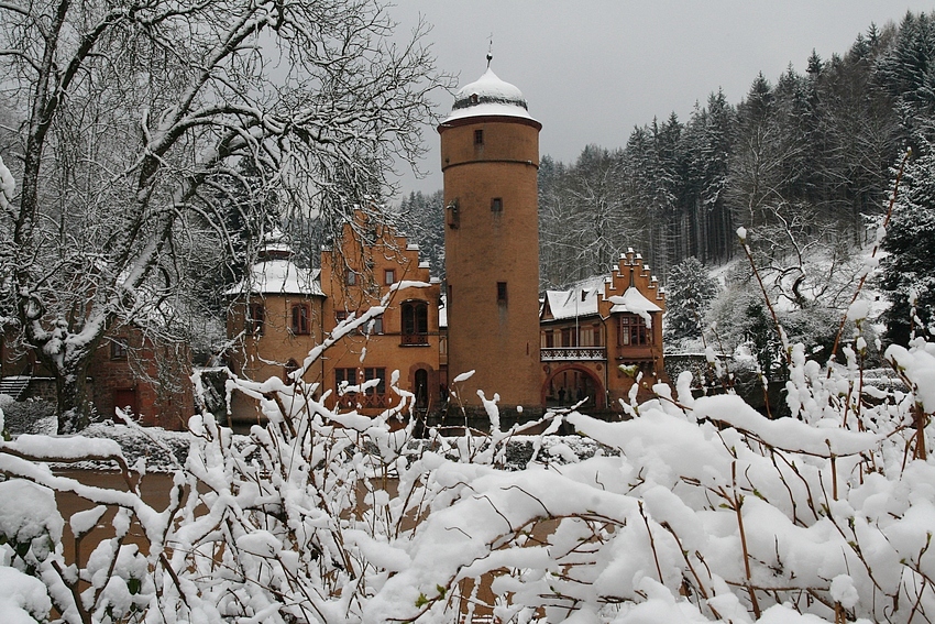 Winter im Spessart