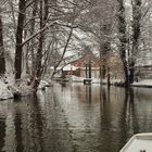 Winter im Spreewald - 2