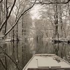 Winter im Spreewald