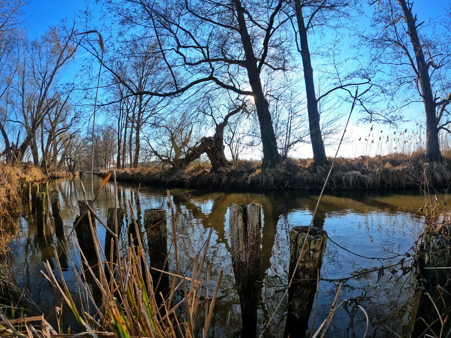 Winter im Spreewald