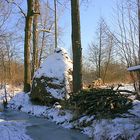 Winter im Spreewald