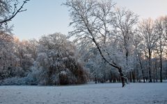 Winter im Stadtpark 1