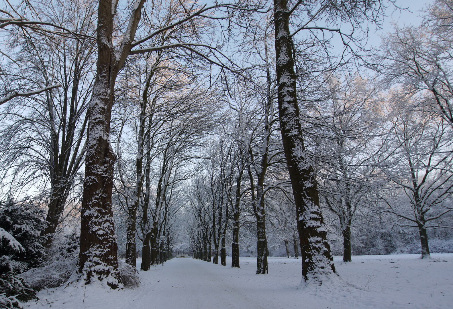 Winter im Stadtpark 2