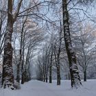 Winter im Stadtpark 2