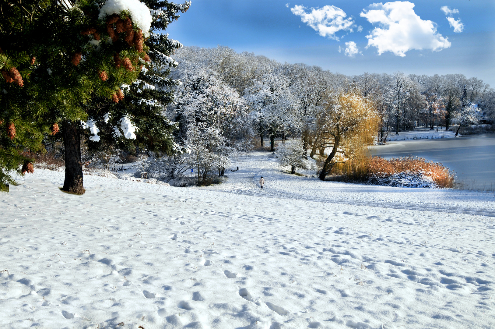 Winter im Stadtpark