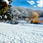 Winter im Stadtpark