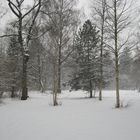Winter im Stadtpark