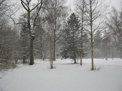 Winter im Stadtpark