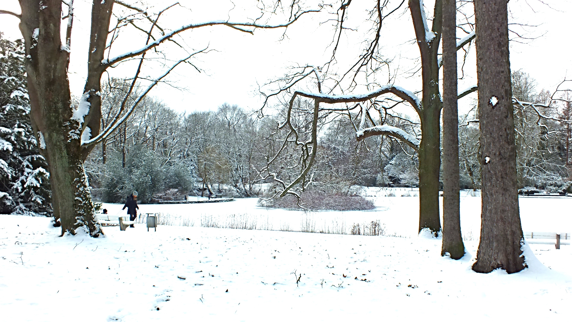 Winter im Stadtpark