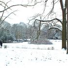 Winter im Stadtpark