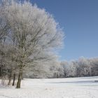 Winter im Stadtpark Plauen