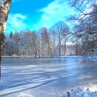 Winter im Stadtwald