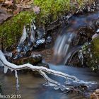 Winter im Steinbachtal /OL