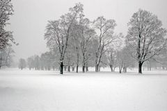 Winter im Stuttgarter Rosensteinpark