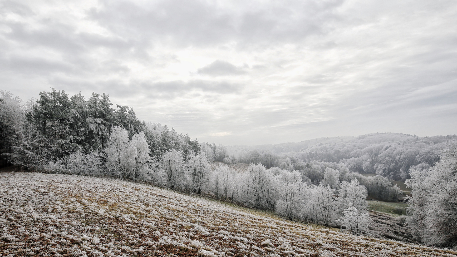 Winter im Südburgenland