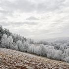Winter im Südburgenland