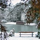 Winter im Südfriedhof Leipzig