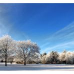 Winter im Südpark