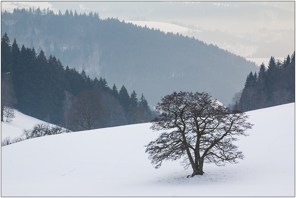 Winter im Südschwarzwald