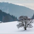 Winter im Südschwarzwald