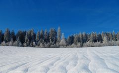 Winter im Südschwarzwald