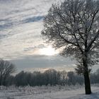 Winter im Tal der Kleinen Laber