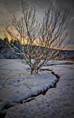 Winter im Taunus