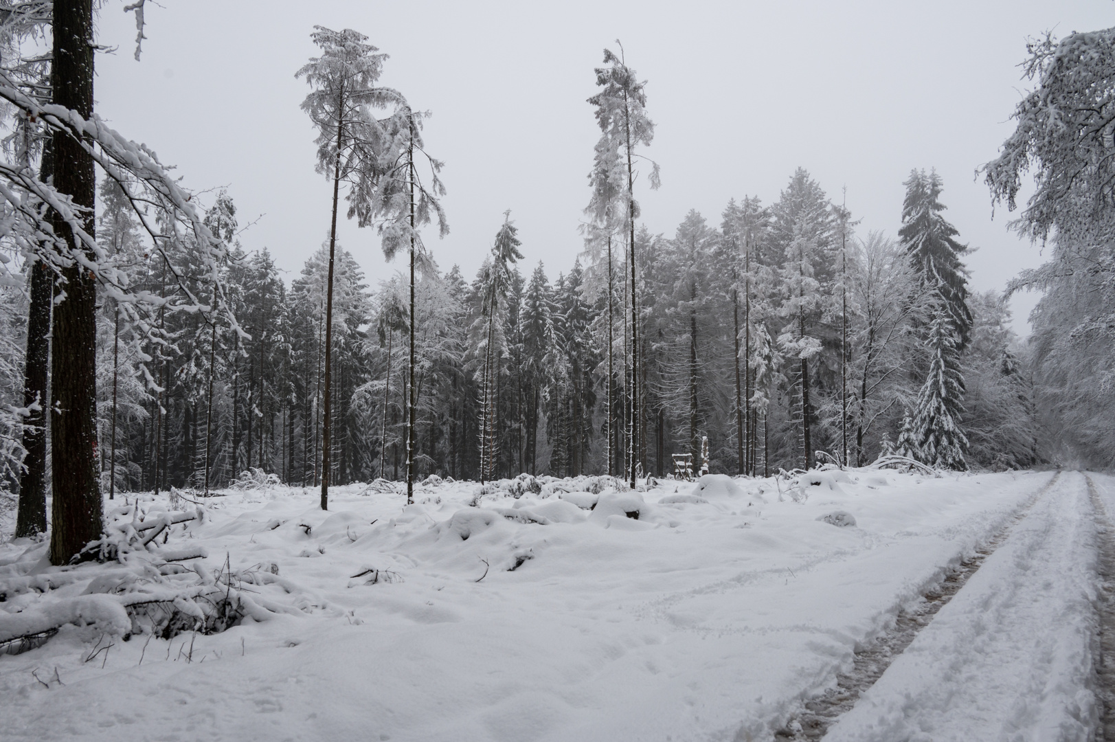 Winter im Taunus - 2