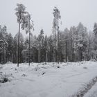 Winter im Taunus - 2