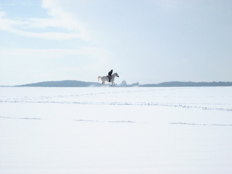 Winter im Taunus 2006