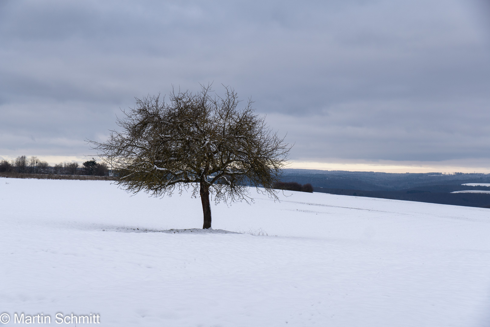 Winter im Taunus