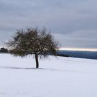 Winter im Taunus