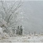 Winter im Taunus