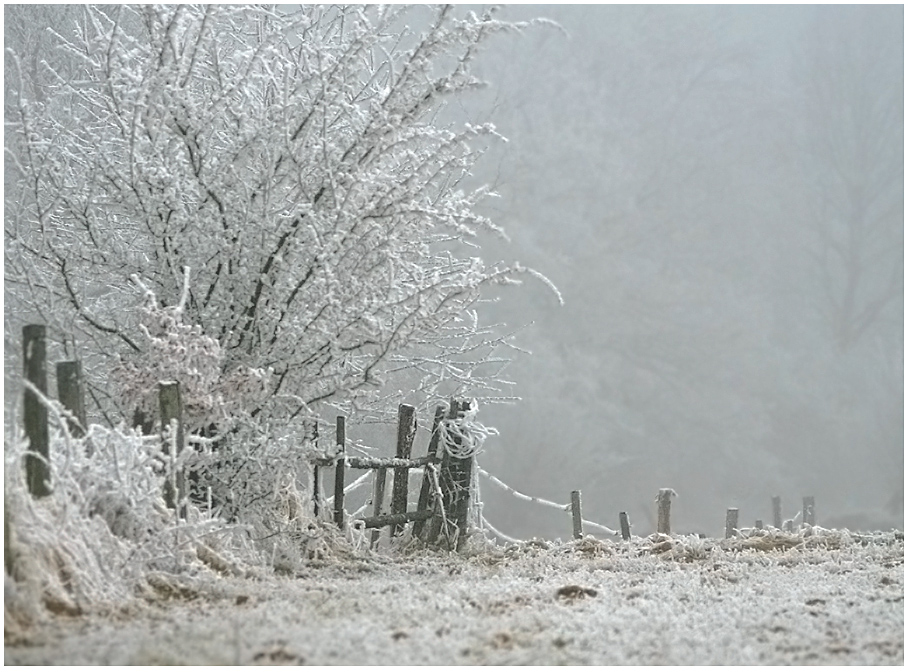 Winter im Taunus