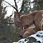 Winter im Taunus