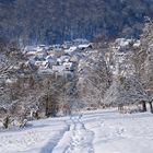 Winter im Taunus