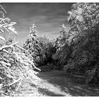 Winter im Taunus