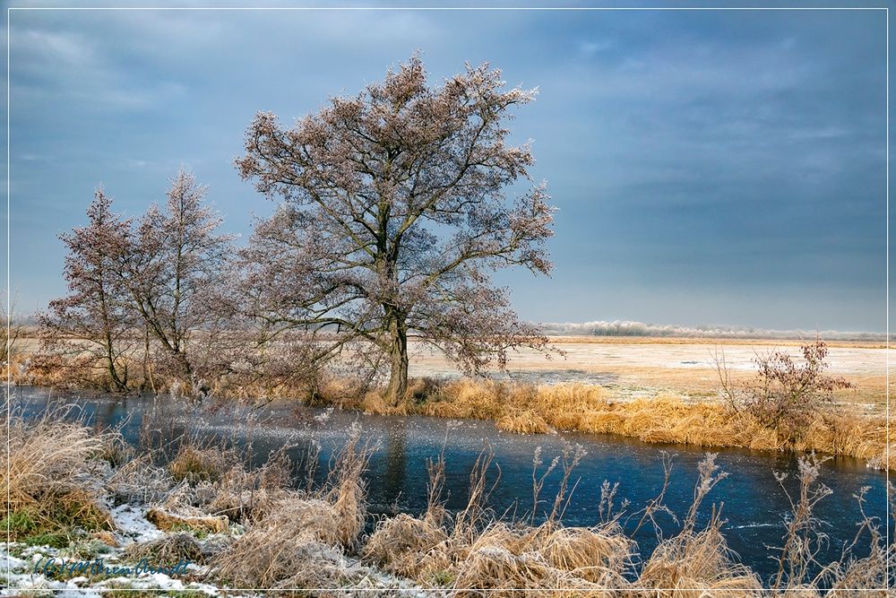 Winter im Teufelsmoor