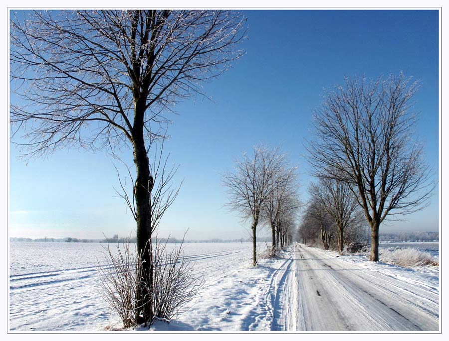 Winter im Teufelsmoor ...