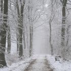 Winter im Teutoburger Wald