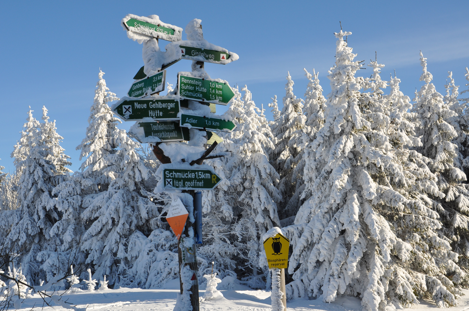 Winter im Thüringer Wald